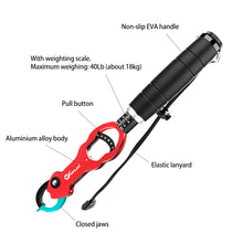 Load image into Gallery viewer, SANLIKE Aluminium Fish Lip Grip Max Weigh 40LB/18KG Multifunctional EVA Handle Lanyard with Weighing Scale Fishing Grip Tool