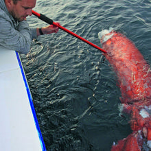 Load image into Gallery viewer, SANLIKE Anchor Squid Cuttlefish Umbrella Fishing Hook Fishing Chapter Stainless Steel Sea 12mm Diameter