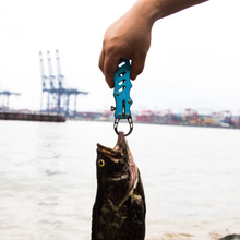 Load image into Gallery viewer, SANLIKE Fishing Lip Grip Plier Grabber Stainless Steel Controller Hand Grip Portable Fish Lip Gripper Fishing Tool Accessories