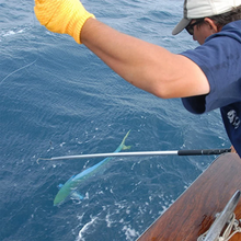 Load image into Gallery viewer, SANLIKE Fishing Gaff Stainless Steel Extra Strong Sharp Fishing Hook for Saltwater Freshwater Tackle Accessory