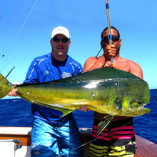 Load image into Gallery viewer, SANLIKE Telescopic Fish Gaff Pole with Stainless Sea Fishing Spear Hook Tackle Rubber Handle for Saltwater Offshore Tool