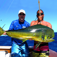 Load image into Gallery viewer, SANLIKE Telescopic Fish Gaff Pole with Stainless Sea Fishing Spear Hook Tackle Rubber Handle for Saltwater Offshore Tool