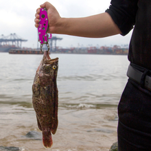 Load image into Gallery viewer, SANLIKE Aluminium Multifunctional Grabber Fishing Lip Grip Bait Holder Clip with Loss Prevention Cord Fishing Tools Accessories