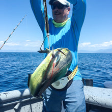 Load image into Gallery viewer, SANLIKE Telescopic Fishing Gaff with Nonslip EVA Handle Stainless Steel Hook