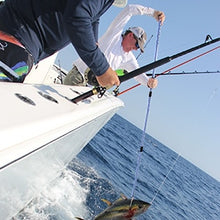 Load image into Gallery viewer, SANLIKE Stainless Fishing Gaff Steel Hook Nonslip EVA Handle Telescopic Pole