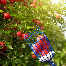 Load image into Gallery viewer, KOMCLUB Fruit Picker Basket Head for Apple Avocado Lemon Peach Fruit Tree Grabber Tool Outdoor Deep Basket Garden Tools