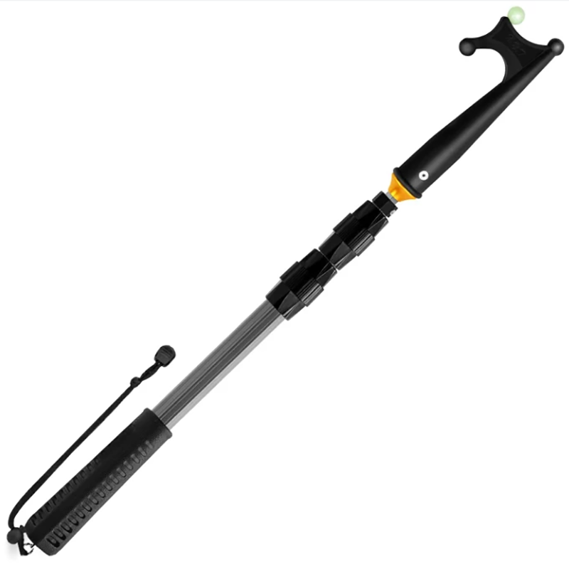 2 Pieces Fish Gaff Telescopic Fishing Gaff Saltwater Fishing Tackle  Telescoping Gaff Hook with Stainless Steel Hook, Non Slip Handle, Aluminium  Alloy Pole Lanyard for Freshwater Offshore Accessories: Buy Online at Best