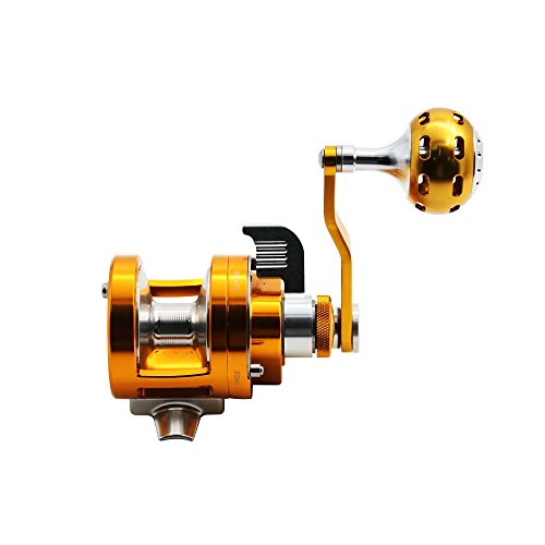 Sanlike Fishing Reels High Quality Trolling Reel with Smarter Alarm Fly Fishing Tackle for Saltwater/ Freshwater Sea (Gold)