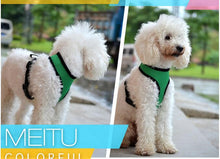 Load image into Gallery viewer, Net cloth chest and back pet net cloth chest and back belt small dog going out to walk dog pet supplies
