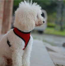 Load image into Gallery viewer, Net cloth chest and back pet net cloth chest and back belt small dog going out to walk dog pet supplies
